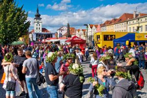 Dočesná Žatec 2 Dočesná Žatec 2
